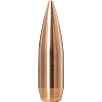 Geschosse .30 10g/155grs. GTX, Norma