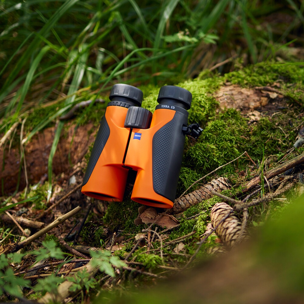 Fernglas Terra ED 8x42 Orange, ZEISS