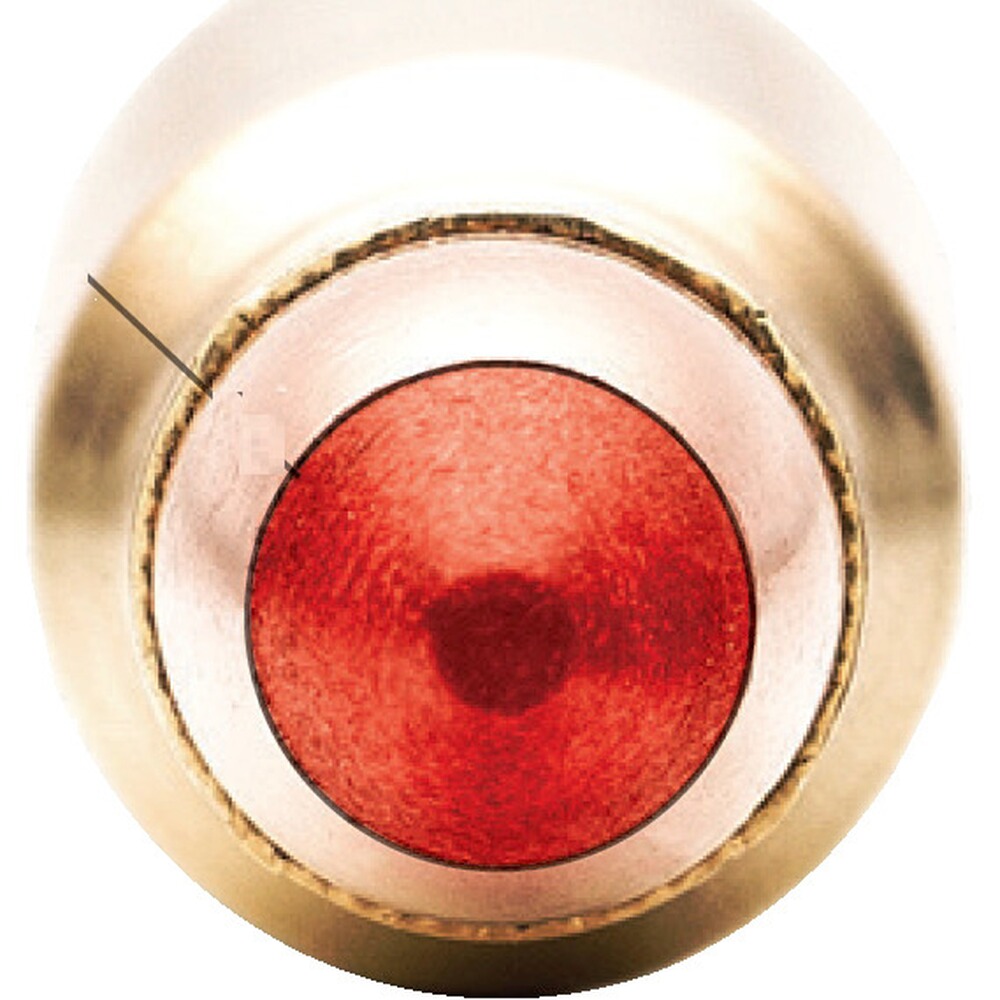 .270 Win. Copper Impact 8,42g/130grs., Winchester