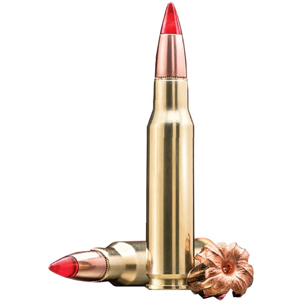 .270 Win. Copper Impact 8,42g/130grs., Winchester