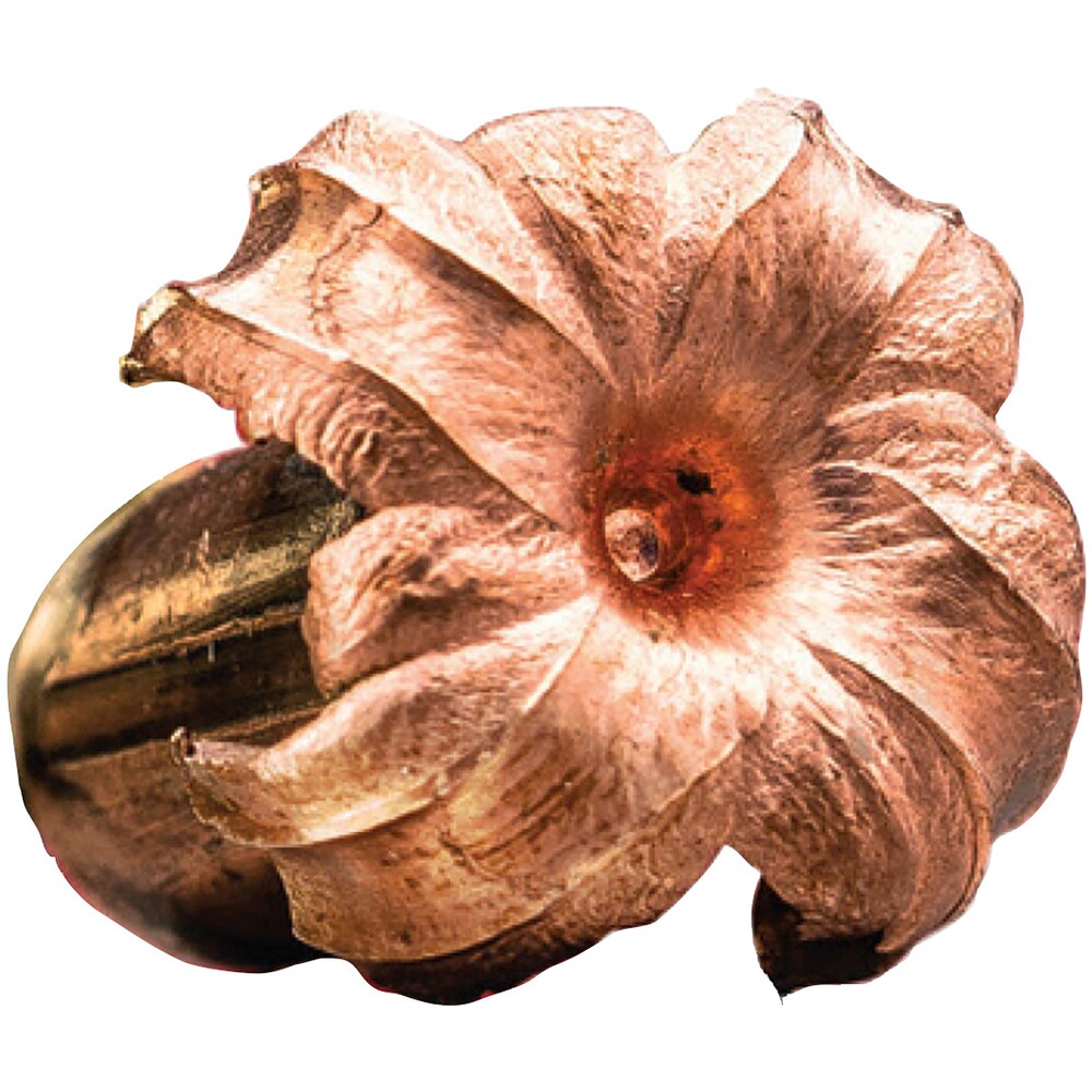 .270 Win. Copper Impact 8,42g/130grs., Winchester