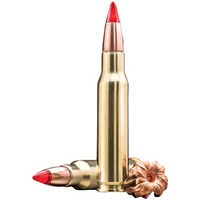 .308 Win. Copper Impact 9,72g/150grs., Winchester