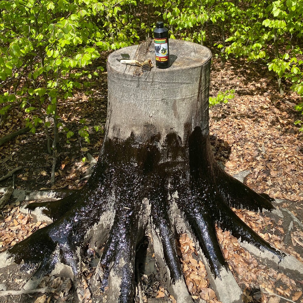 Lockmittel Pinienteer, Wildlutscher