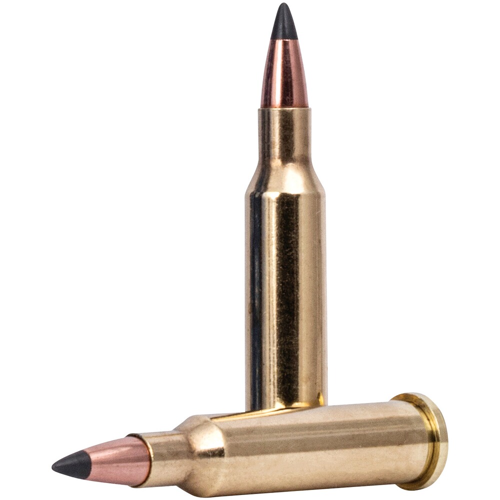 .17 Hornet Varmint & Predator Tipped 1,3g/20grs., Federal Ammunition