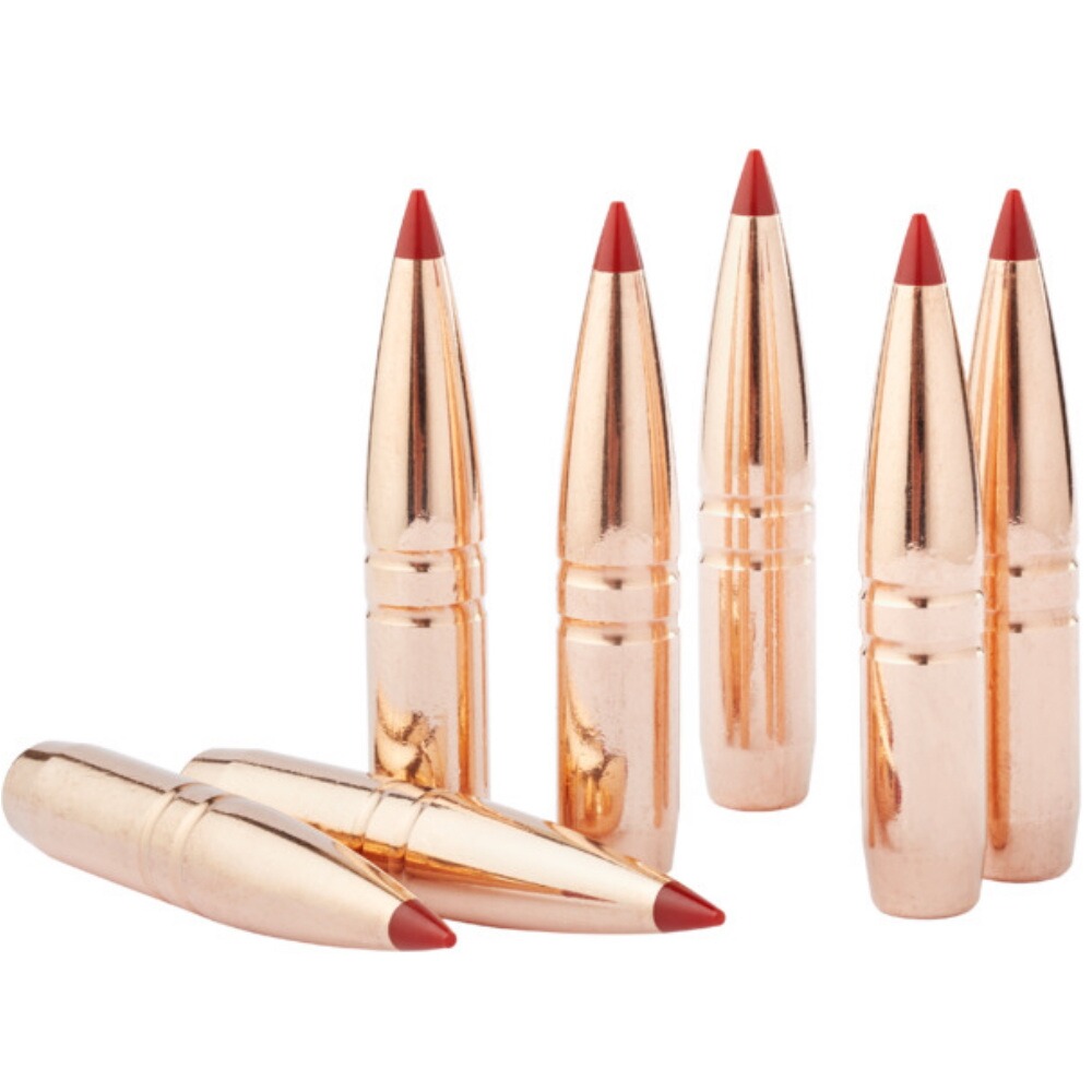 Geschoss .30 (.308) 9,7g/150grs. CX