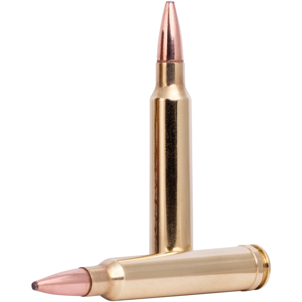 .300 Win. Mag. Fusion 11,6g/180grs., Federal Ammunition