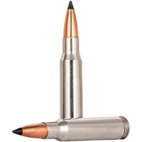 .300 Win. Mag. Trophy Copper 11,7g/180grs., Federal Ammunition