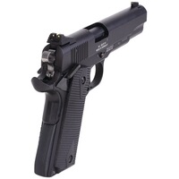 Pistole 1911, German Sport Guns