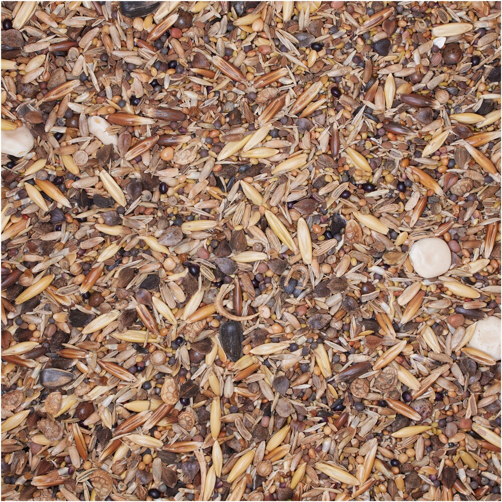 Saatenmischung WaidGreen® Wald Pioniermischung, BSV Saaten