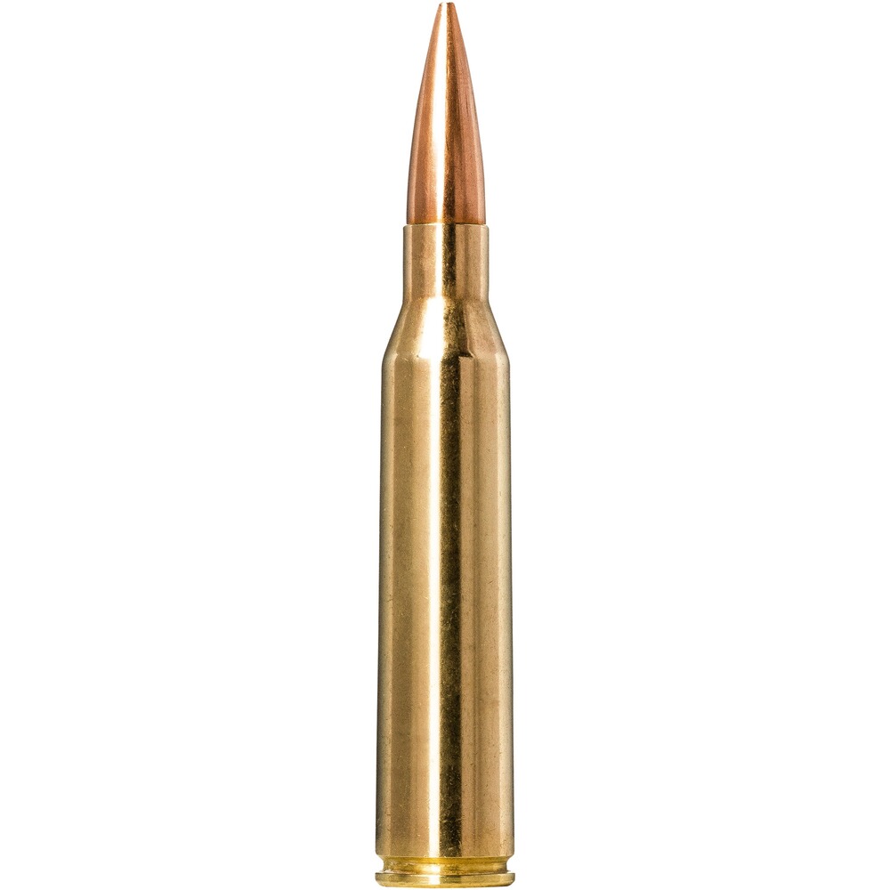 .223 Rem. Golden Target HPBT 4,5g/69grs., Norma