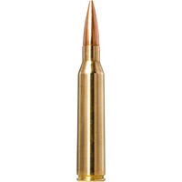 .223 Rem. Golden Target HPBT 4,5g/69grs., Norma