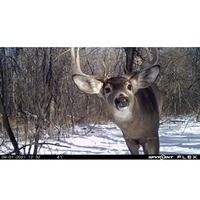 Wildkamera Flex, Spypoint