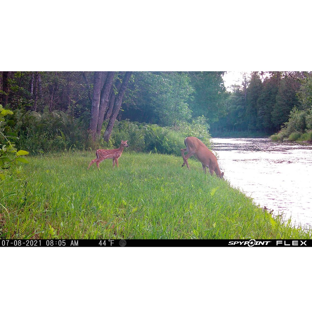 Wildkamera Flex, Spypoint