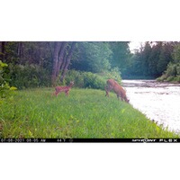 Wildkamera Flex, Spypoint