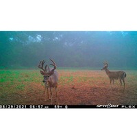 Wildkamera Flex, Spypoint