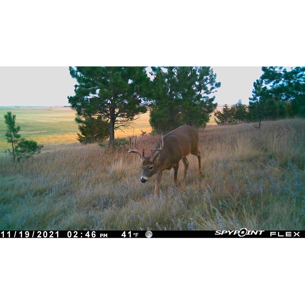 Wildkamera Flex, Spypoint
