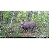 Wildkamera Flex, Spypoint