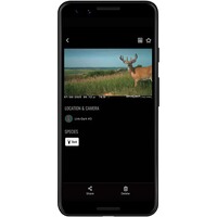 Wildkamera Flex, Spypoint