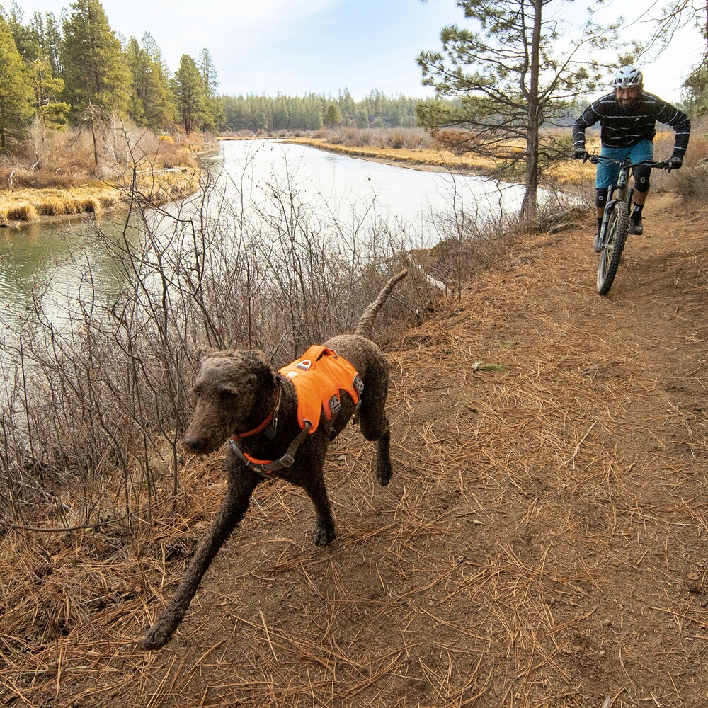Hundegeschirr Web Master, Ruffwear
