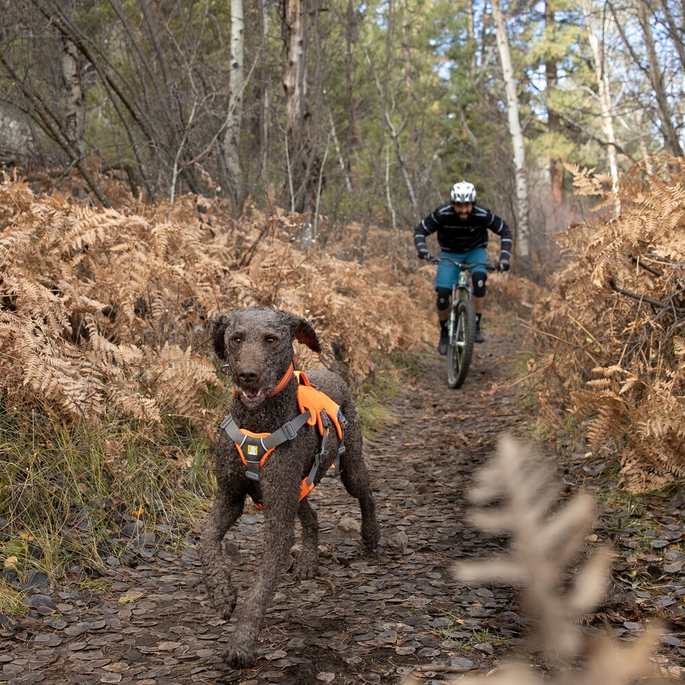 Hundegeschirr Web Master, Ruffwear