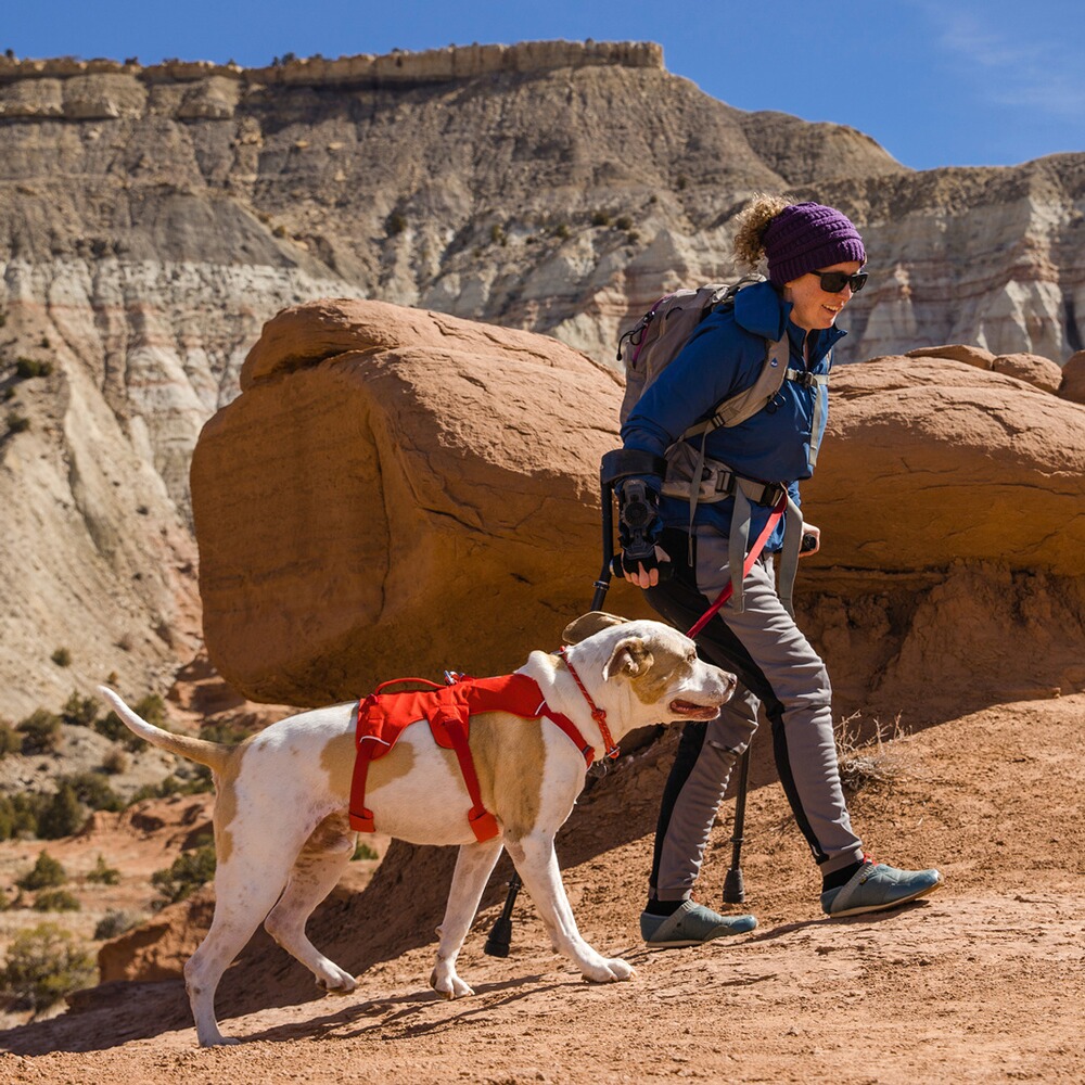 Hundegeschirr Web Master, Ruffwear