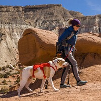 Hundegeschirr Web Master, Ruffwear