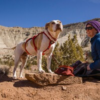 Hundegeschirr Web Master, Ruffwear