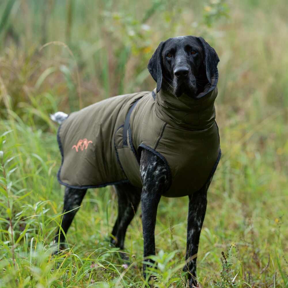 Hundeponcho, Blaser