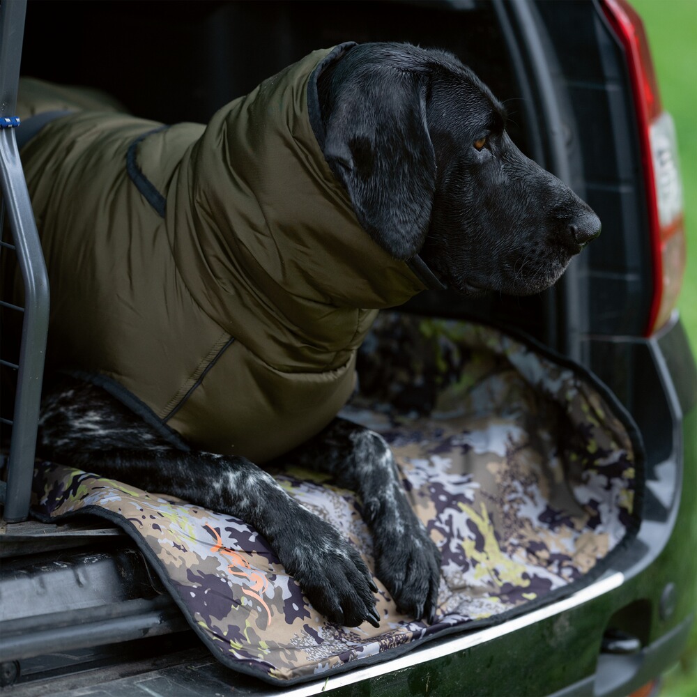 Hundeponcho, Blaser
