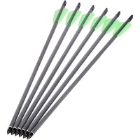 Pfeil Carbon für Whipshot und RX Cobra – 6 Stück, EK Archery Research