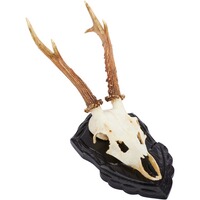 Trophäenschild, Wald & Forst