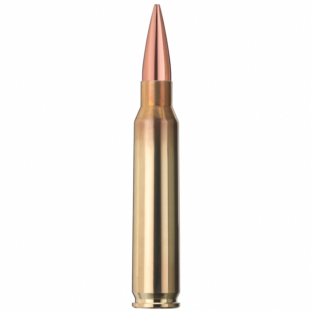 .223 Rem. Target HP 3,4g/52grs., Geco