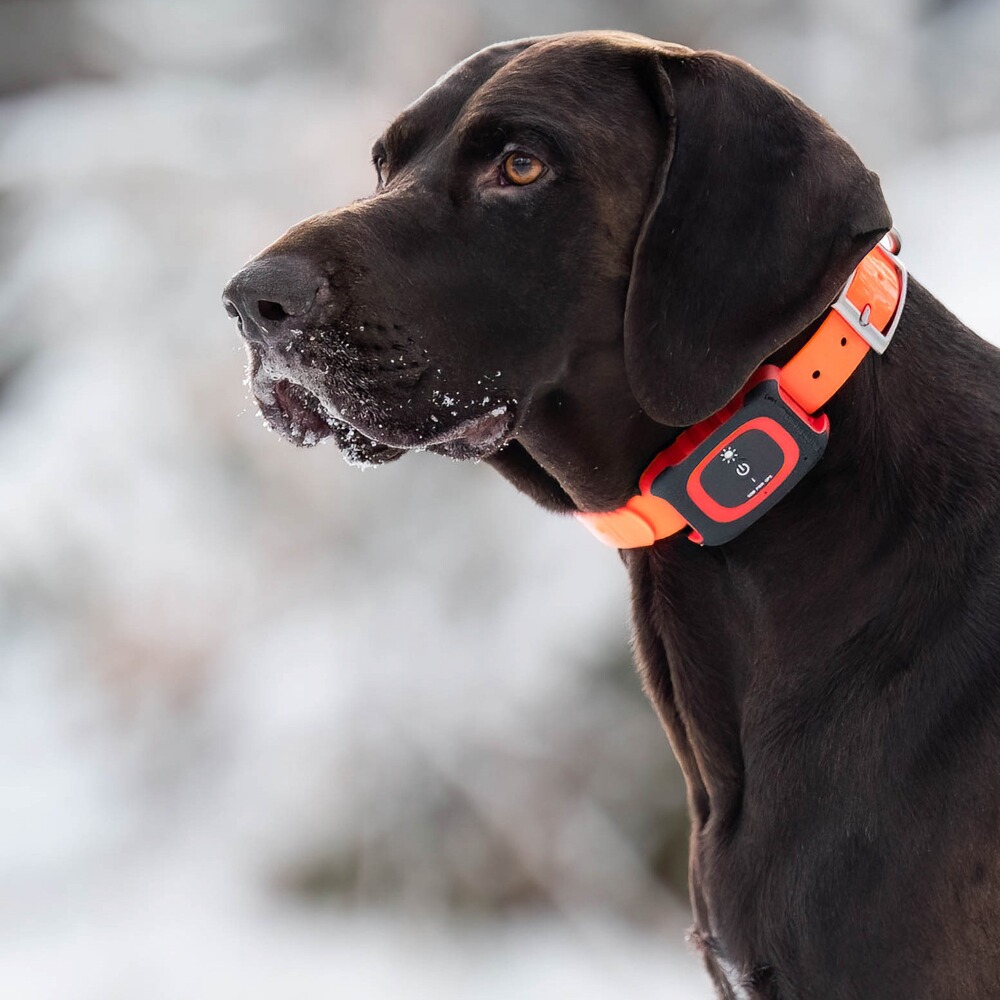 GPS Tracker REX, MiniFinder