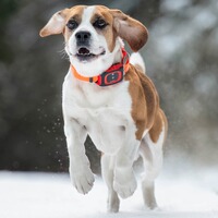 GPS Tracker REX, MiniFinder