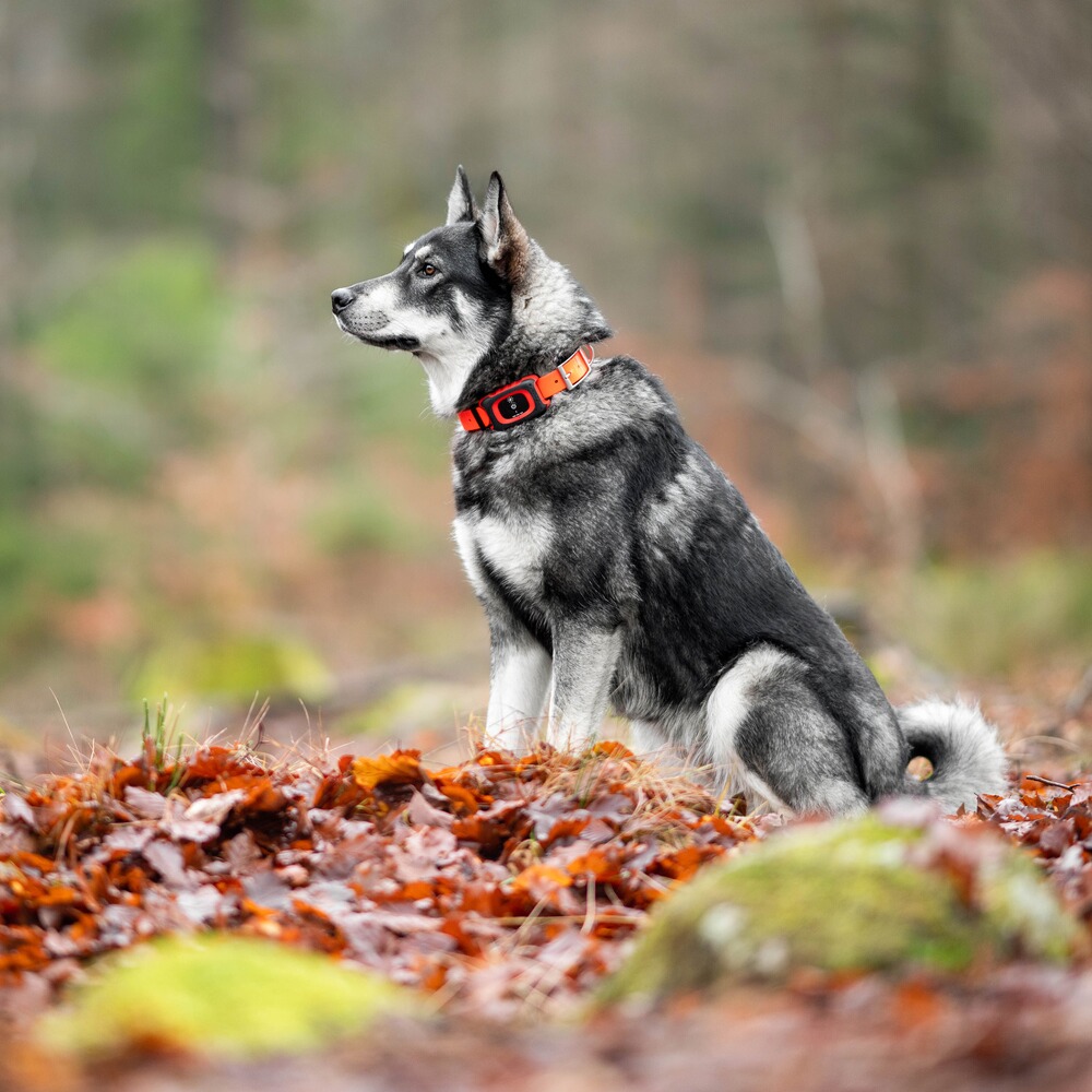 GPS Tracker REX, MiniFinder