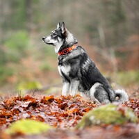 GPS Tracker REX, MiniFinder