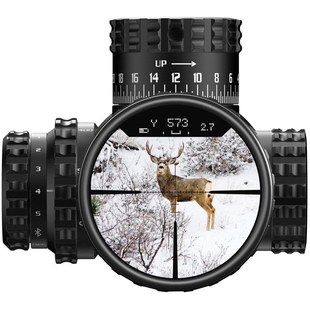 Zielfernrohr Veracity PH 4-20x50, Burris