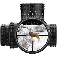 Zielfernrohr Veracity PH 4-20x50, Burris