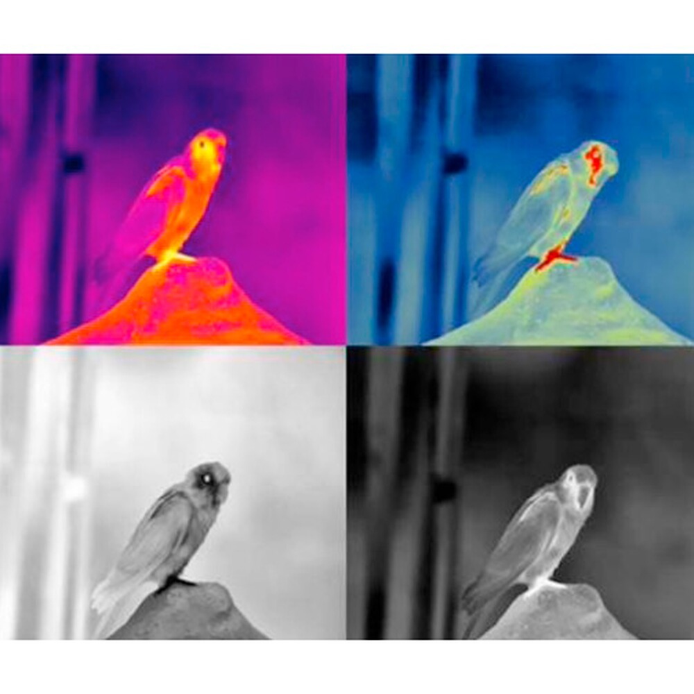 Wärmebildgerät TD411, Guide sensmart