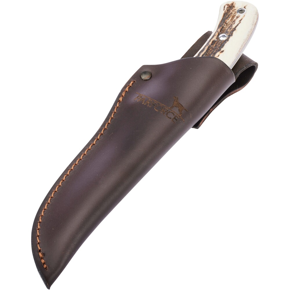 Messer Vulpes, Parforce