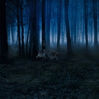 Wildkamera Secacam 7 LTE, ZEISS