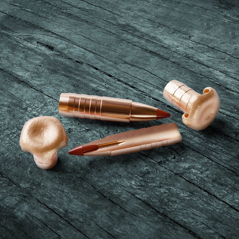 .30-06 Spr. eXergy EDGE 10,7g/165grs., Sellier & Bellot