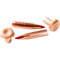 .30-06 Spr. eXergy EDGE 10,7g/165grs., Sellier & Bellot