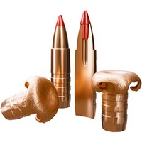 .30-06 Spr. eXergy EDGE 10,7g/165grs., Sellier & Bellot