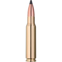 8x57 IS CDB 12,7g/196grs., Blaser