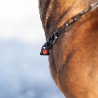 Halskette mit Zugbegrenzung – lange Glieder, Sprenger