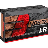 .300 Win. Mag. Vor-TX LRX 12,3g/190grs., Barnes