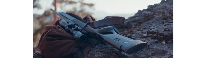 Repetierbüchse CLII Gams, Steyr Arms