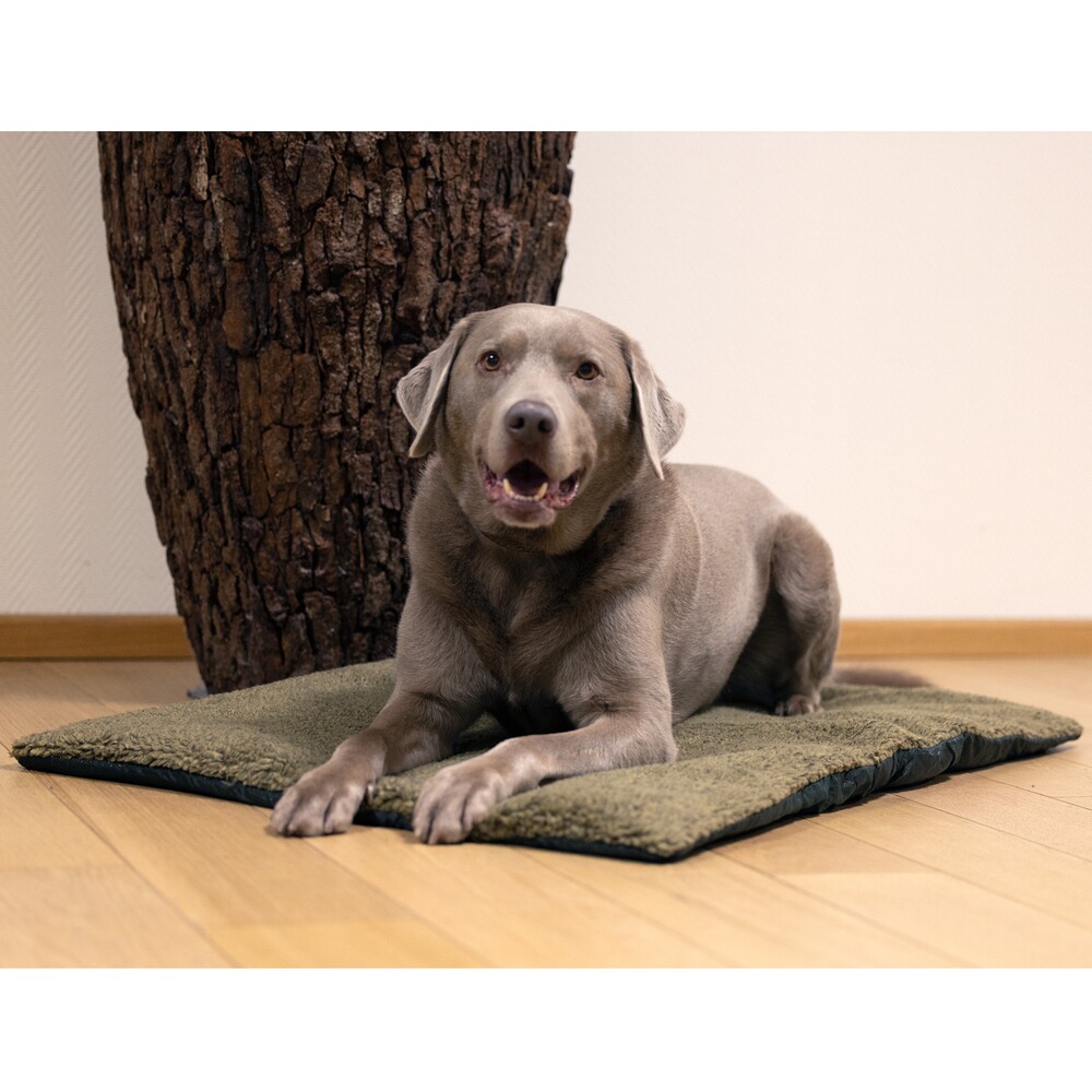 Hundebett Retrieve Dog, Deerhunter