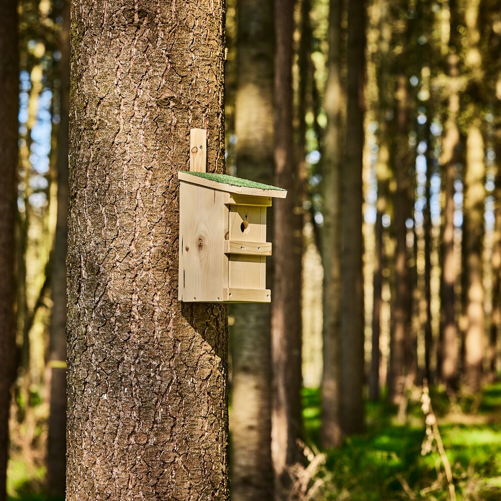 Nistkasten Basic, Wald & Forst